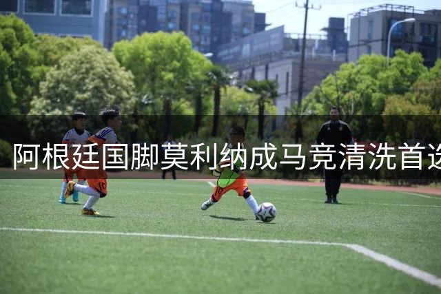 阿根廷国脚莫利纳成马竞清洗首选 多家意甲英超球队展开争夺战